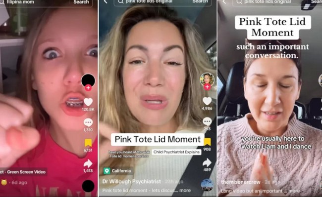 pink tote lid moments how a tiktok trend sparked global conversations about family dynamics