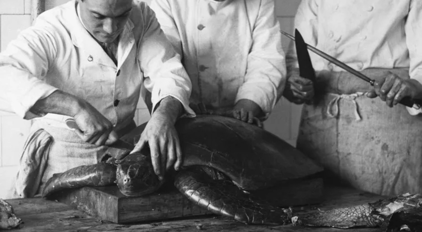 Old image of chefs preparing turtle for culinary use - Hulton Deutsch/Getty Images