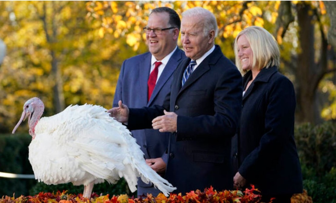 President Joe Biden pardons the National Thanksgiving Turkey Liberty during a ceremony at the White House on November 20, 2023 in Washington, DC with Jose Rojas, left, Vice-President of Jennie-O Turkey Store, and Steve Lykken, middle, Chairman of the Nati