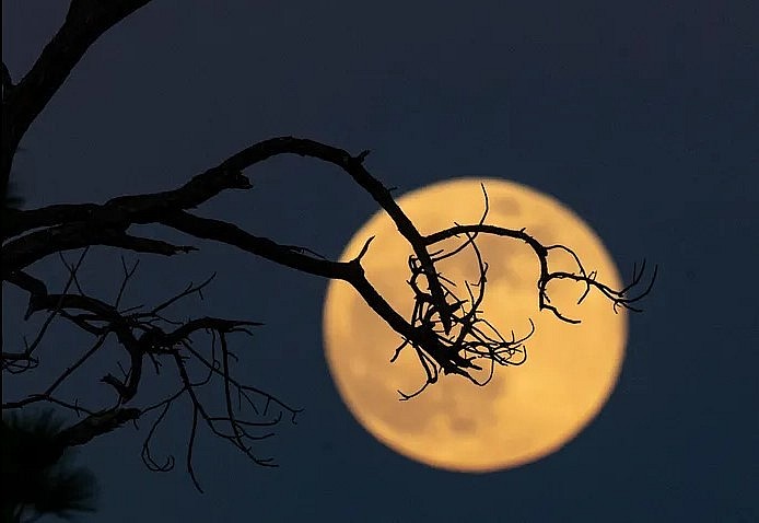 Full Moon in December 2024