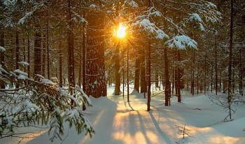 What is December Solstice: Dates, Causes, and Fun Facts