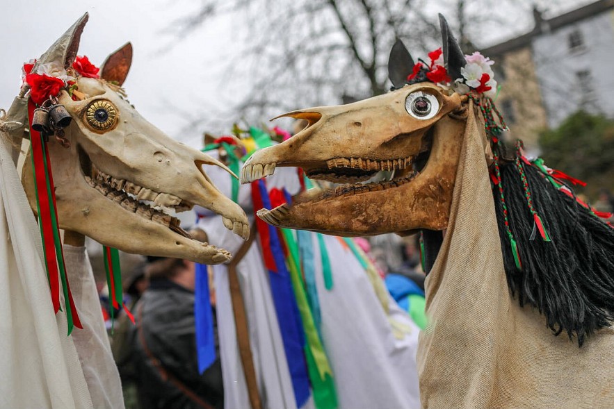 the Mari Lwyd tradition involves a horse’s skull