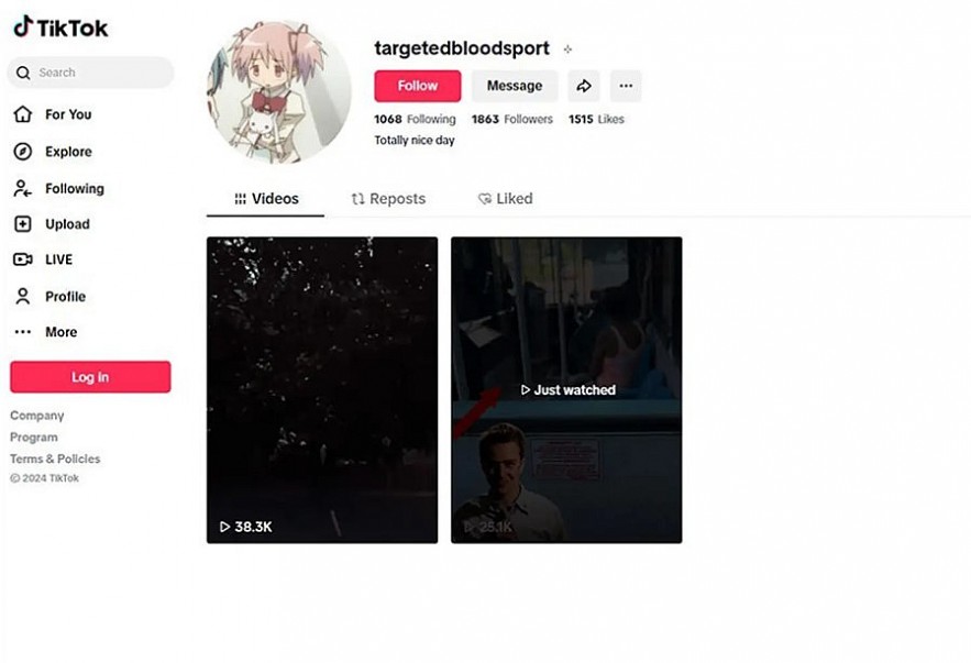 TikTok page linked to school shooter Natalie Rupnow deleted 