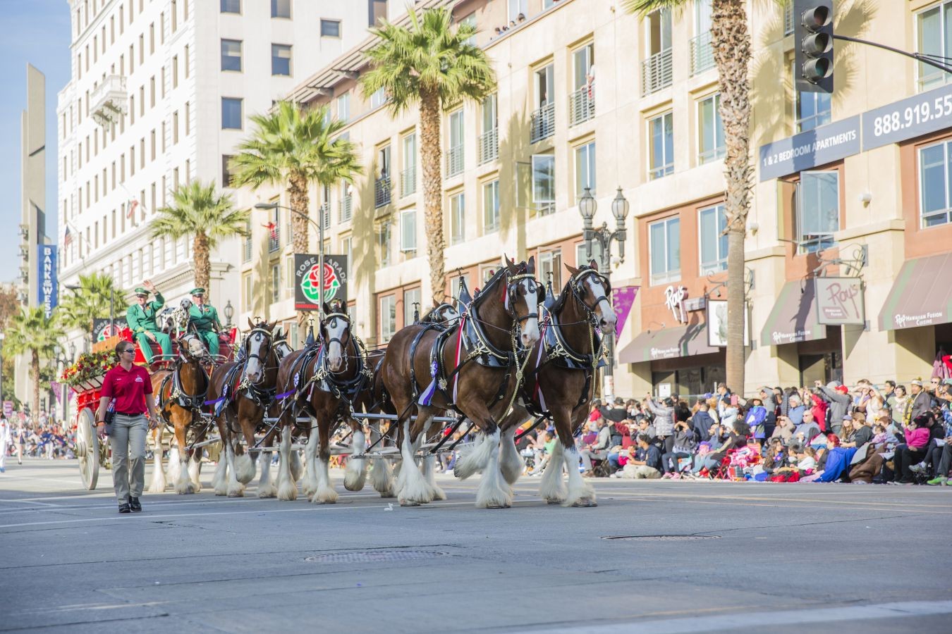 What is Rose Parade 2025: What to Expect in 2025?