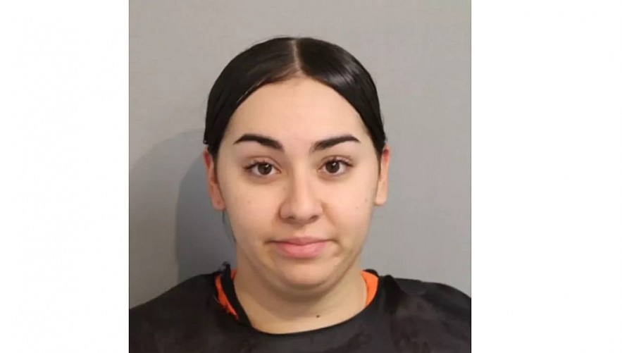 Who is Brianna Alvelo, Pizza Delivery Driver Stabs Pregnant Woman Over $2 Tip