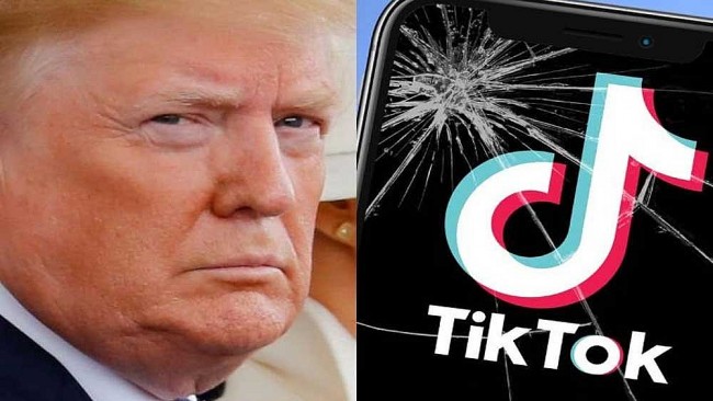 Trump Asks Supreme Court to Pause TikTok Ban