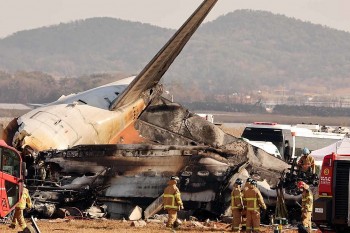 What is the Cause of Jeju Air Crash: Bird Strike or Mechanical Failures?