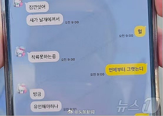 South Korean plane crash: A passenger's final text message reveals the cause of the tragedy