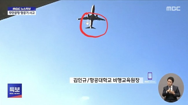 A Bird Strike Moments Before the Crash of Jeju Air Flight