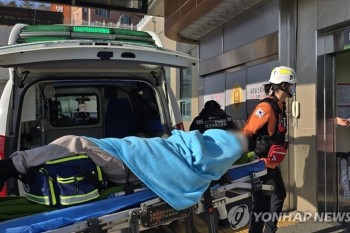 Surviving Flight Attendant Recounts the Moment Jeju Air Plane Crash