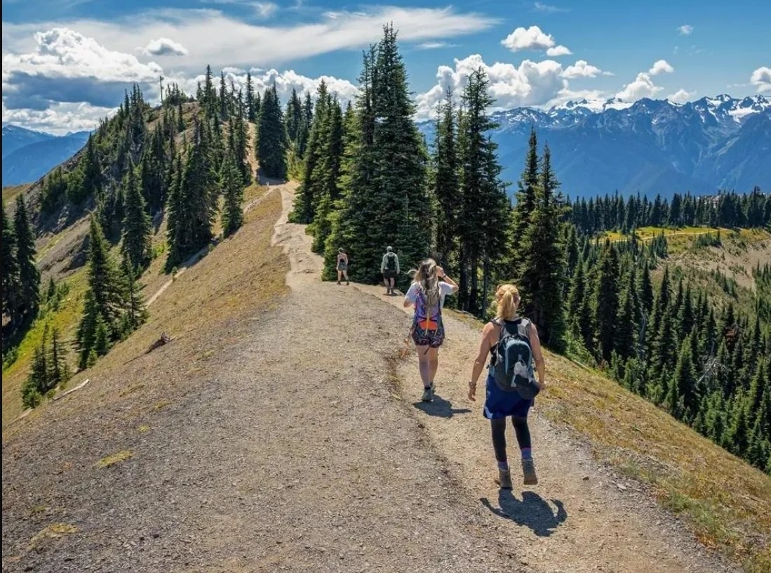 Why Americans Love Hiking and Walking on New Year’s Day