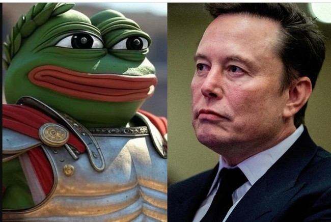 Why did Elon Musk rename himself Kekius Maximus: The true Story Behind the Meme