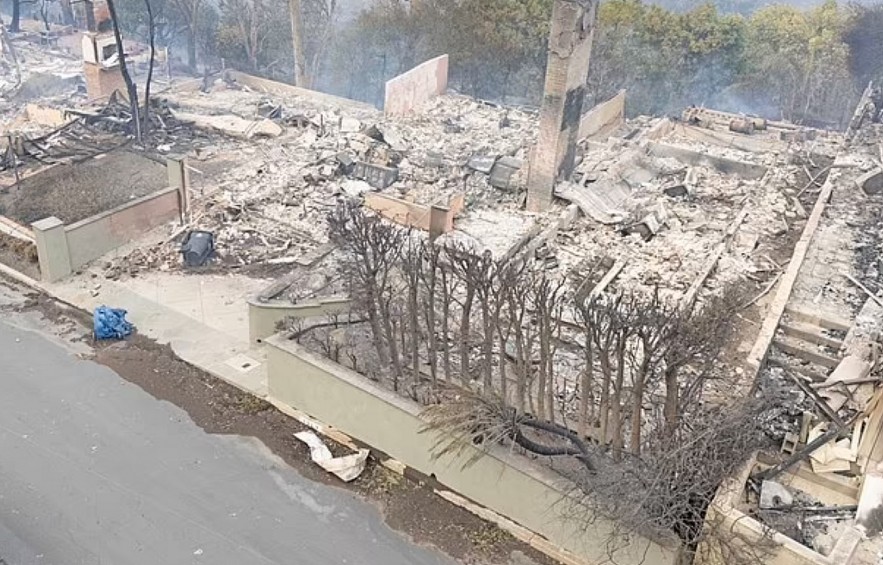 Full List of Stars Who Lost Homes in the LA Wildfires