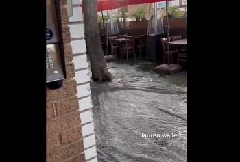 As Los Angeles Burns, Streets Flood: Viral Video Sparks Outrage