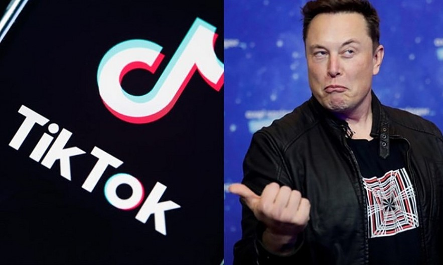 How Much Could TikTok Cost Musk