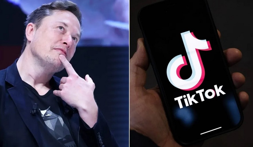 China Considers Selling TikTok to Elon Musk