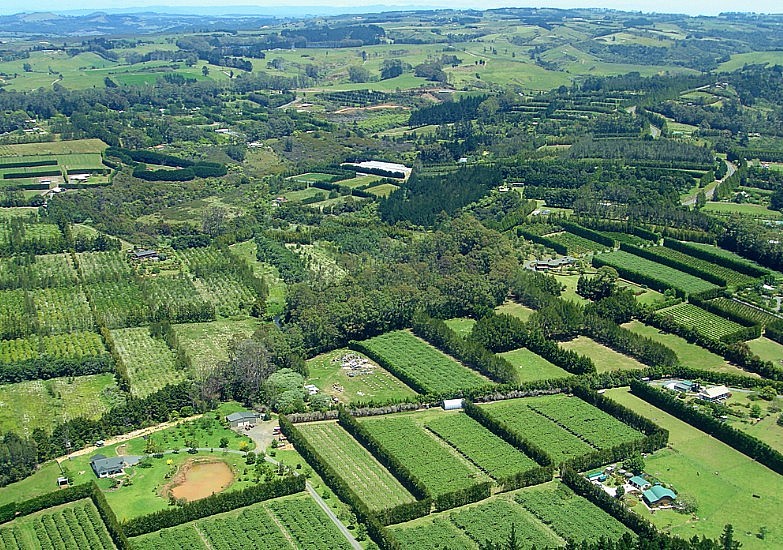 Who owns America’s farmland