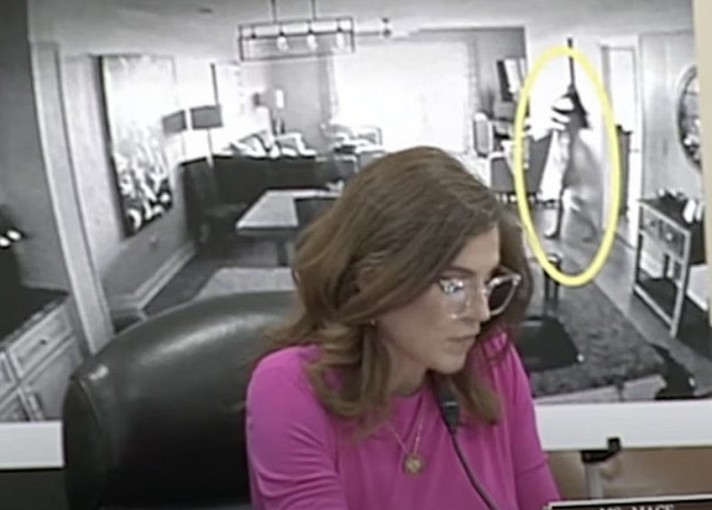 What Are the “Naked Silhouette” Photos of Rep. Nancy Mace?