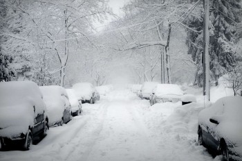 First Snowfall Forecast Winter 2025–26: When Will It Snow in the US?