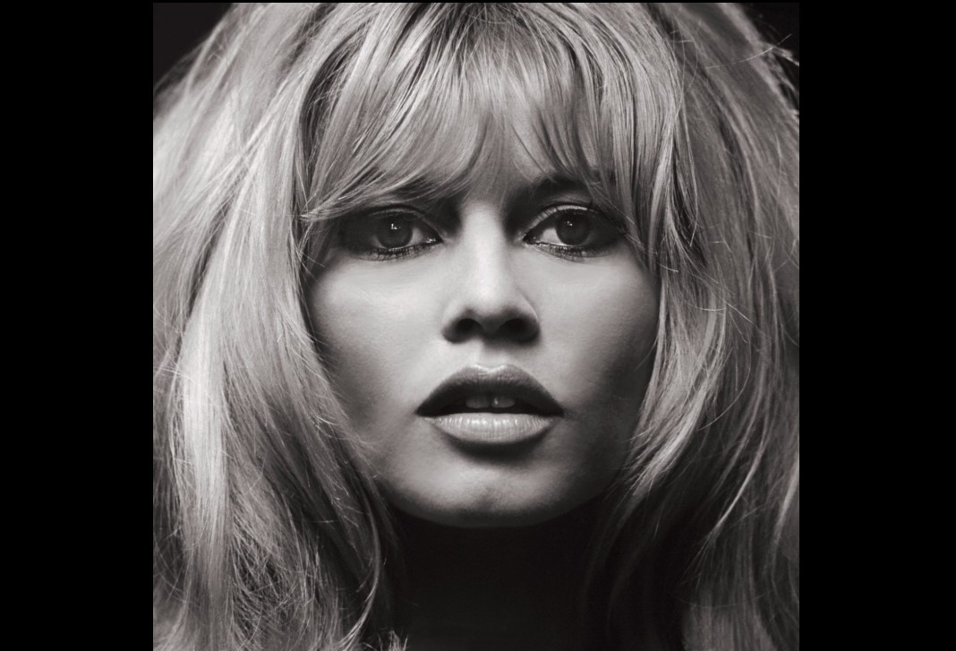 Brigitte Bardot in Her Final Years and Last Hours — A Legacy Beyond the Spotlight