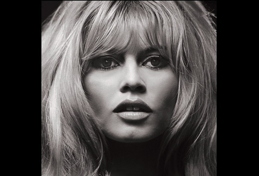 Brigitte Bardot in Her Final Years and Last Hours — A Legacy Beyond the Spotlight
