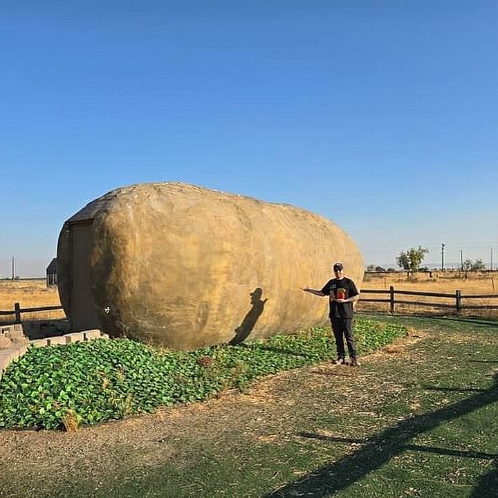 Top 15 Weirdest Houses in the United States You Can Actually Visit Top 15 Weirdest Houses in the United States You Can Actually Visit