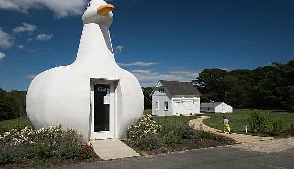 Top 15 Weirdest Houses in the United States You Can Actually Visit Top 15 Weirdest Houses in the United States You Can Actually Visit