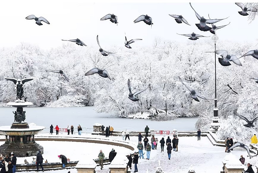 Pigeons fly over people on a snow day in Central Park in the Manhattan borough of New York City on December 14, 2025 Pigeons fly over people on a snow day in Central Park in the Manhattan borough of New York City on December 14, 2025