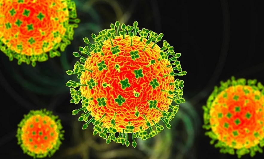 What is the Nipah virus?