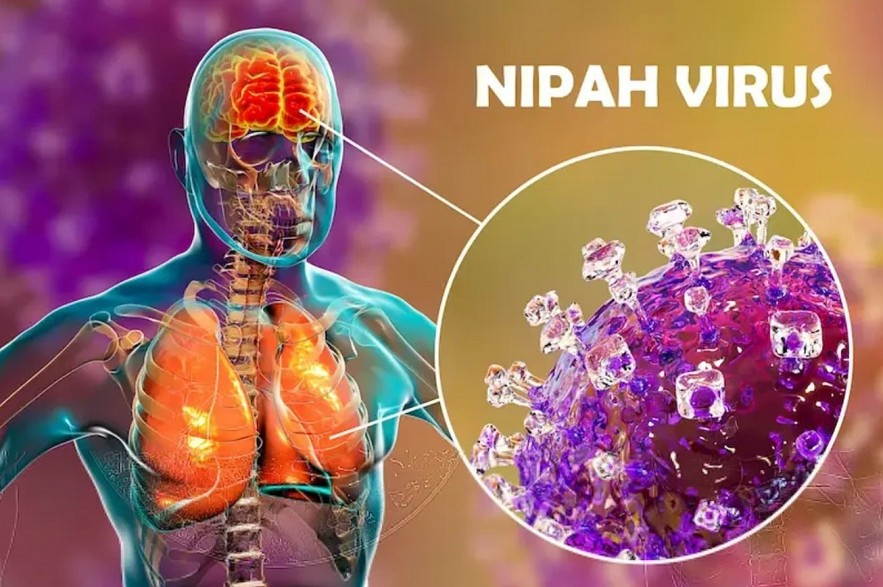What is the Nipah virus?