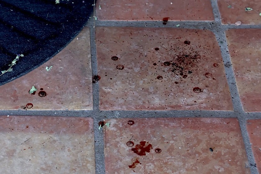 blood was found inside the missing 84-year-old’s house