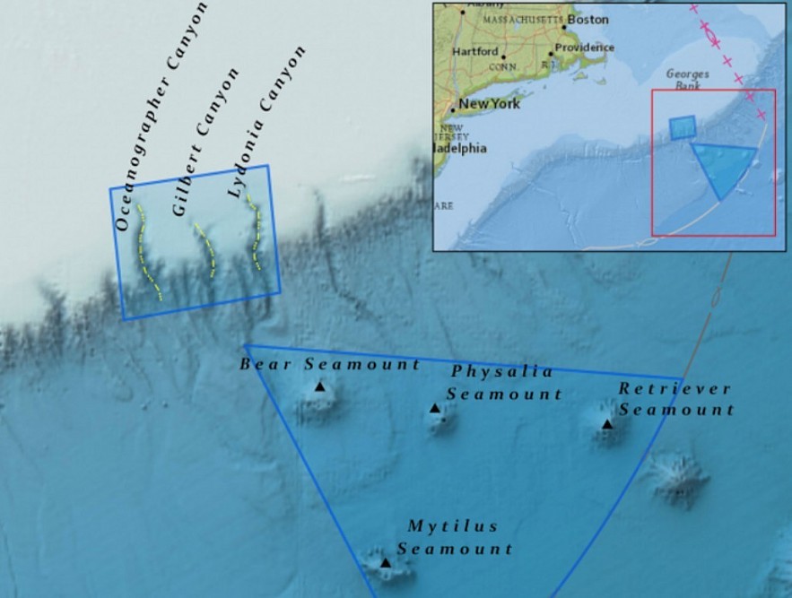 Trump to reopen Northeast Canyons to commercial fishing   NF Staff News Northeast Viewpoints SHARE facebook-white sharing buttontwitter-white sharing buttonlinkedin-white sharing buttonemail-white sharing button  NEFSA commends the Trump administration for opening the Northeast Canyons and Seamounts Marine National Monument southeast of Cape Cod near the edge of Georges Bank to commercial fishing. Photo courtesy of The Pew Charitable Trusts   Listen to this article 3 min The Trump administration has moved to roll back additional federal fishing restrictions, this time reopening the Northeast Canyons and Seamounts Marine National Monument to commercial fishing.  President Trump signed a proclamation on May 9 restoring access to nearly 5,000 square miles of federally protected waters southeast of Cape Cod, a move praised by regional industry groups and criticized by conservation scientists. Originally designated as a national monument in 2016 under President…  You've caught the limit! Free membership gives you access to:  Unrestricted access to all NationalFisherman.com articles. Enjoy an extensive archive of National Fisherman magazine issues, including articles, features, and insights from the publication's history Receive the latest developments and expert opinions from the fishing industry delivered directly to your inbox twice a week. NF+ Members log in here. Have you listened to this article via the audio player? If so, send us your feedback around what we can do to improve this feature or further develop it. If not, check it out and let us know what you think via email or on social media.     NF Staff A collection of stories from guest authors.  Related Read Next January 31, 2026 One dead, six missing as search ends for crew of fishing vessel Lily Jean January 30, 2026 Rescue underway after Gloucester trawler Lily Jean reported sinking Join the Conversation  Read Next  January 31, 2026 One dead, six missing as search ends for crew of fishing vessel Lily Jean  January 30, 2026 Rescue underway after Gloucester trawler Lily Jean reported sinking Brand Partners  Rugged Reliability Meets Precision Control: ZF’s Powerhouse Pair for Commercial Fishing Vessels  John Deere repowers classic fishing boat  Facing the challenges: The Pacific Northwest commercial fishing industry  Reliable Power on the Water See More › Around the Coasts LDWF offering temporary commercial fishing registration locations Commercial river herring approved for ME Remains found entangled in fishing gear 180 pound sturgeon almost sets record See More ›  National Fisherman logo          Resources  Marketplace & Jobs Publications Archive Sponsored ContentAbout  Our History Advertise & Media Kit Contact Us Contribute to National Fisherman  You have 0 out of 3 article views left. NF+ Members log in here.