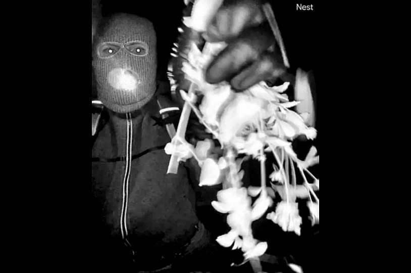  Nancy Guthrie kidnapping suspect appears