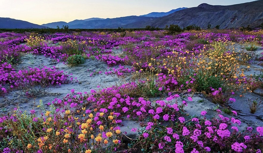 Top 10 April 2026 Events in California You Shouldn’t Miss Top 10 April 2026 Events in California You Shouldn’t Miss