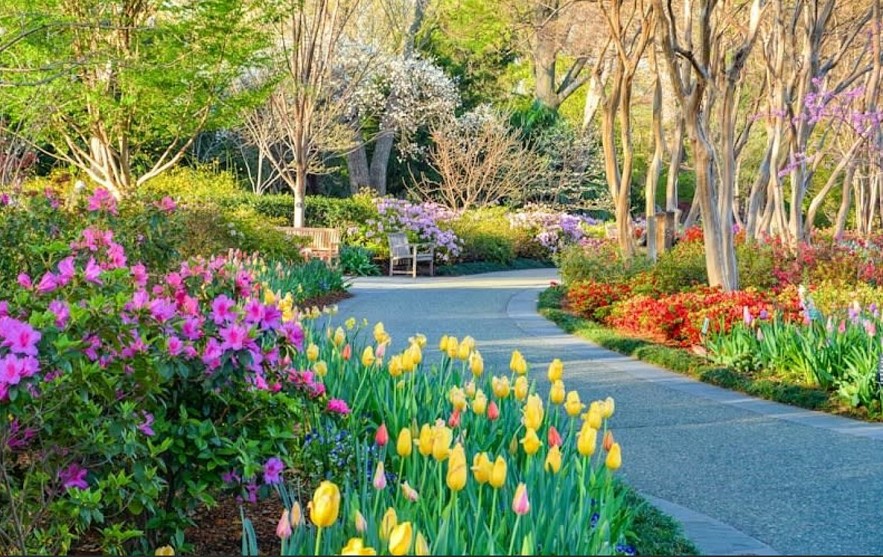 Top 10 Biggest Events in Texas - April 2026