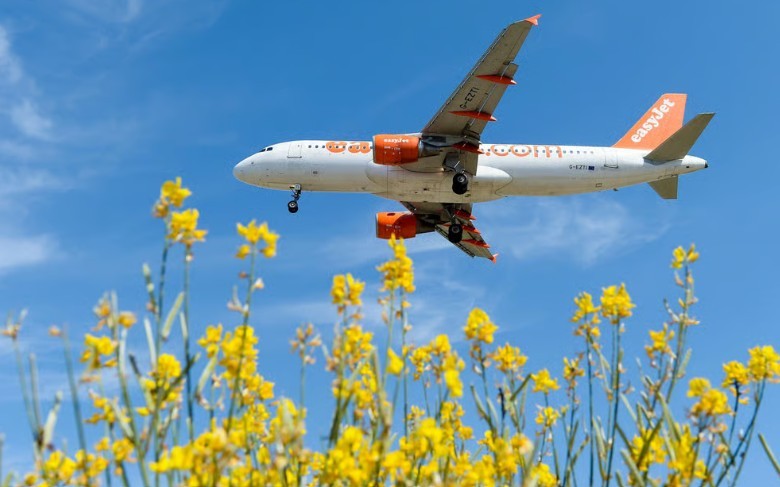 How UK Travellers Can Still Find Cheap Flights This Expensive Summer