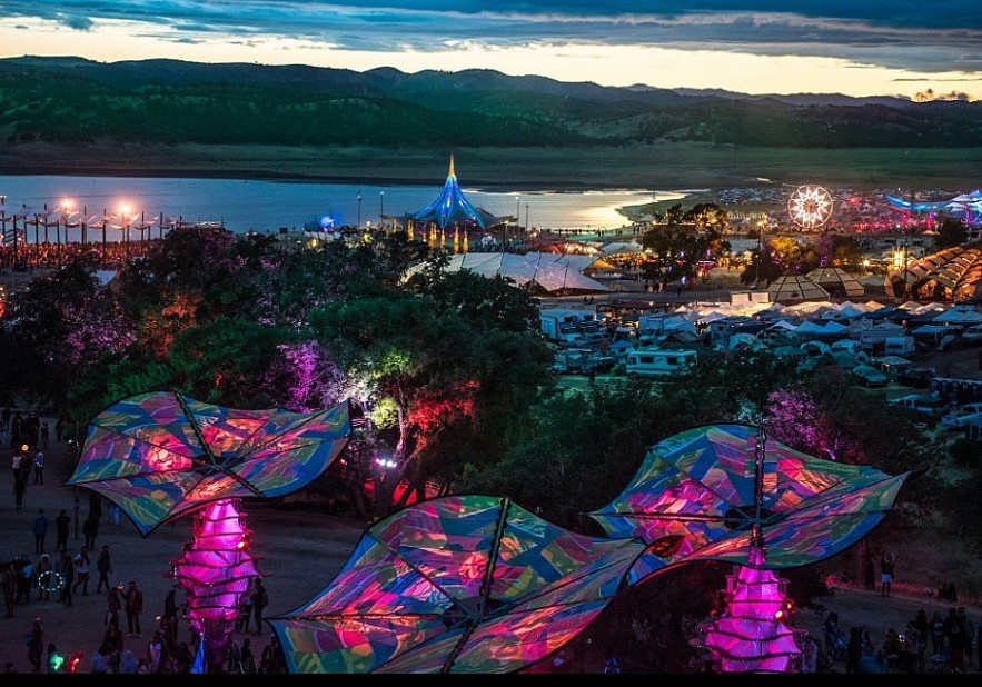 Lightning in a Bottle 