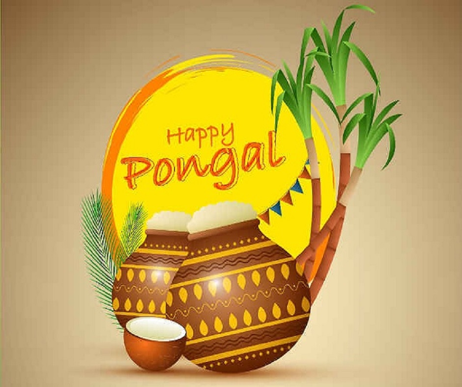 Pongal Day 2021: Customs and Rituals of Four Pongal Day