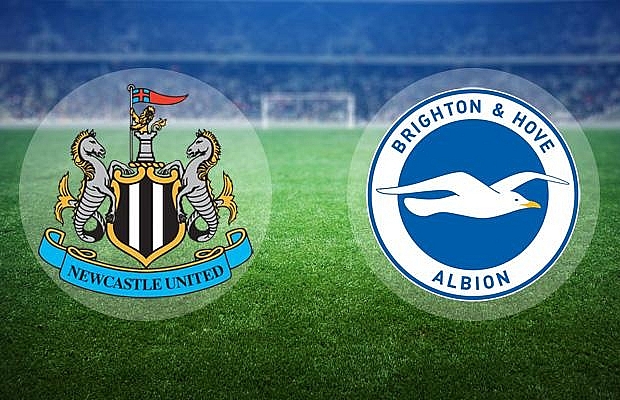 Brighton & Hove Albion vs Newcastle United: How to watch, Winning odds  & Predictions