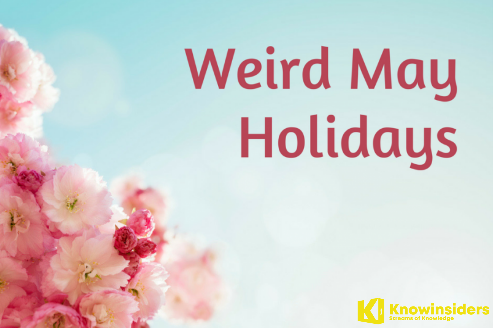 Top Weirdest Holidays in May to Enjoy