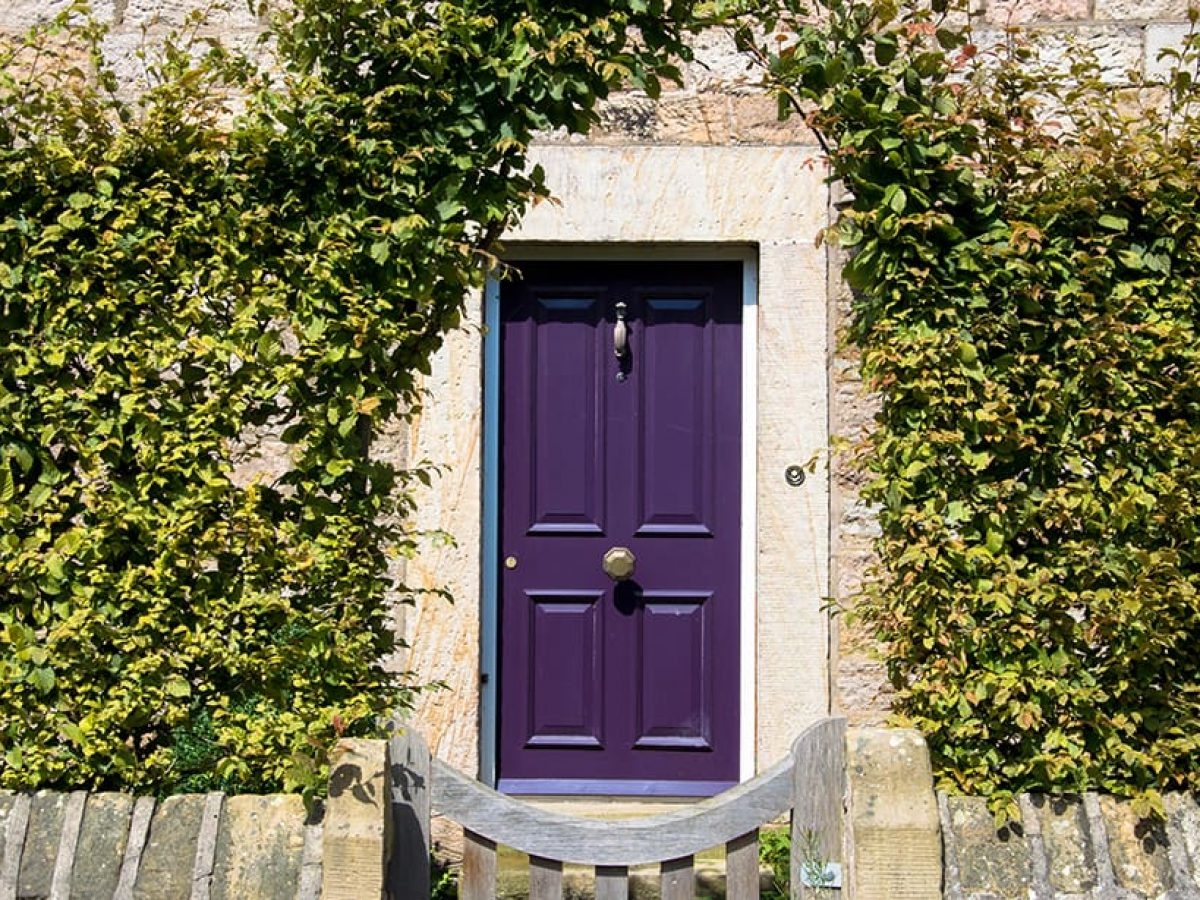 7 Unusual But Impressive Front Door Colors