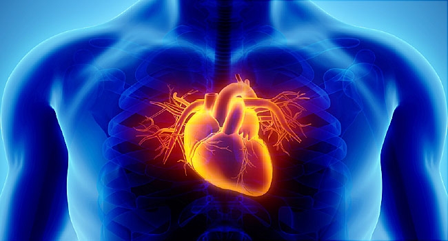 Heart disease: Types, causes, and treatments