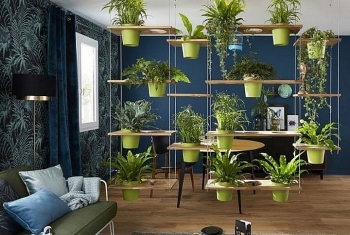 how to bring a touch of nature into your house