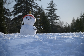 full of tips to build your own perfect snowman on christmas