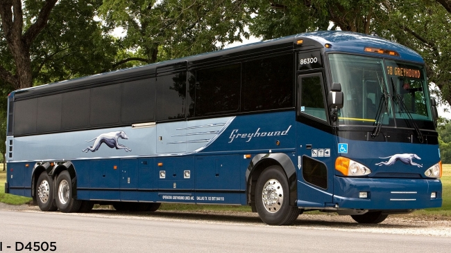 How to Take A Bus for Traveling in America?