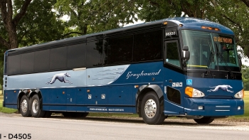 How to take a bus while travelling in the United States?