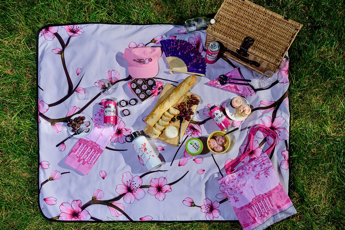 Top 07 tips to host a perfect picnic with your friends!