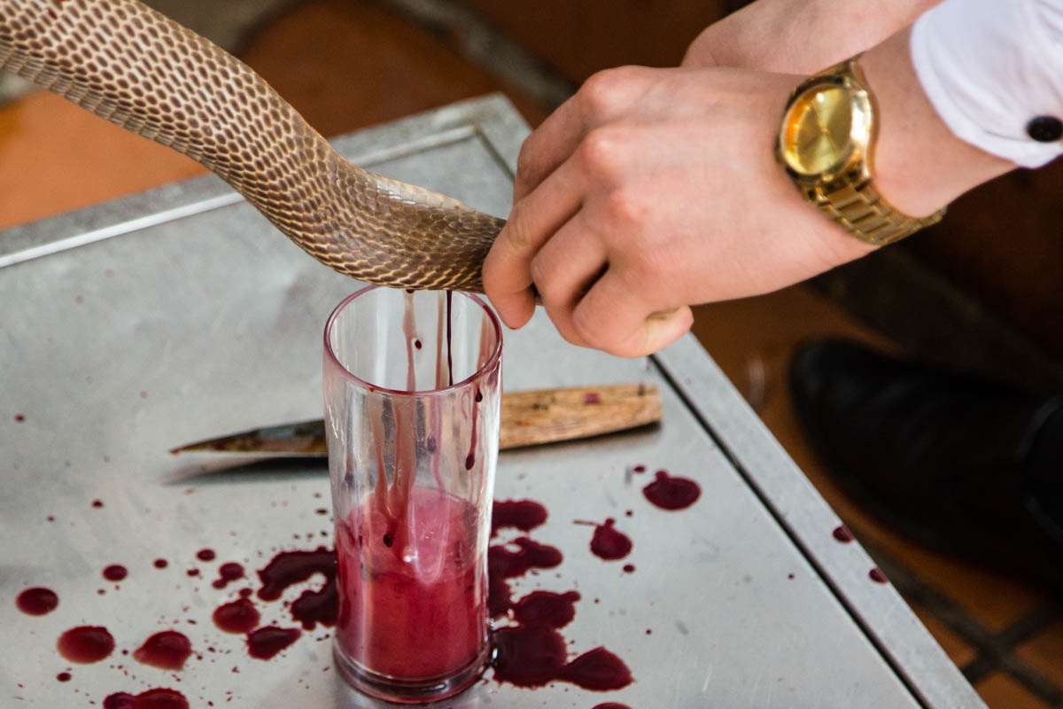 Snake Bile Wine, one of world's weirdest drinks