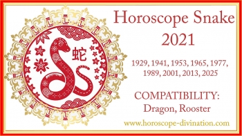 SNAKE Chinese Zodiac Signs 2021: Predictions for Love, Money & Finance and Health