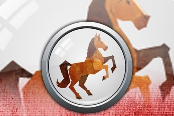 HORSE Chinese Zodiac 2021: Horoscope Predictions for Love, Finance, Career and Health